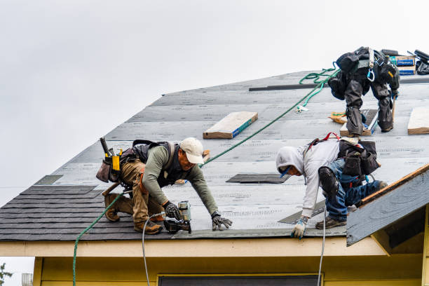 Professional Storm Damage Roof Repair technician working in Rumsey, KY